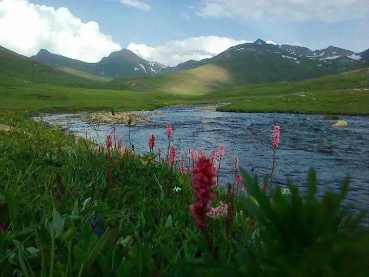 Pakistan's Most Beutiful Place "Deosai"