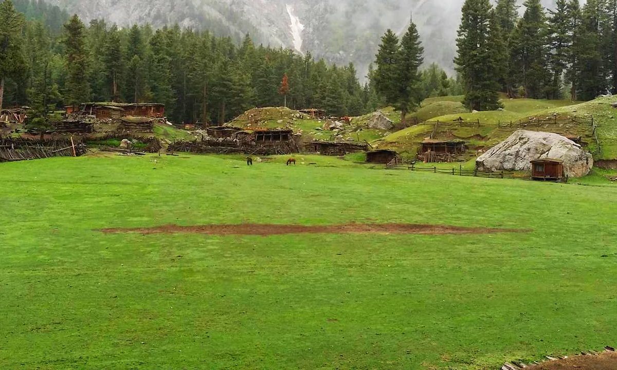 fairy medows 2 edited