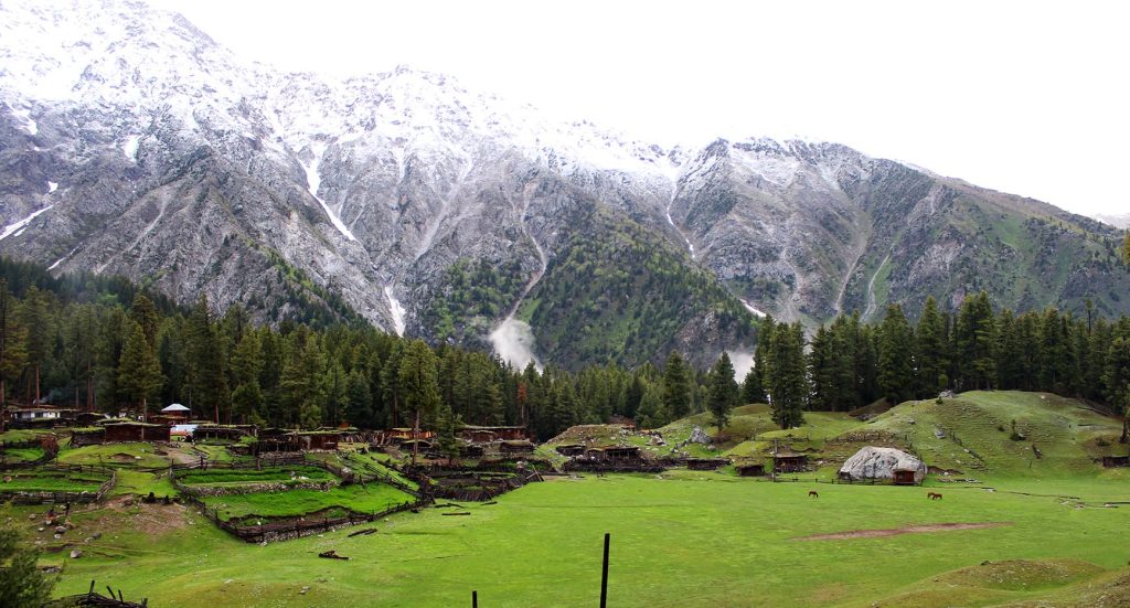 fairymedoschilas e1733902308494