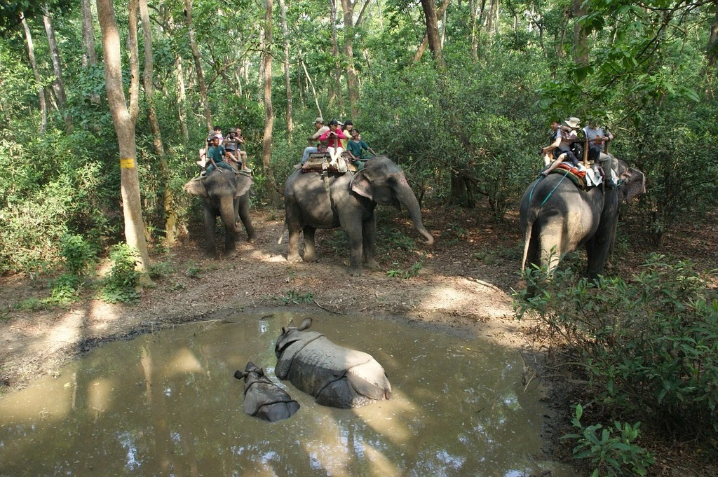 nepal rhino national park the Heaven journey